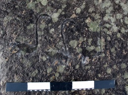 В Карелии обнаружены новые петроглифы