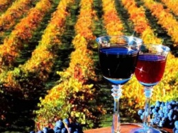 АМКУ оштрафовал крупнейшего производителя вина в Украине на 758 тысяч гривен