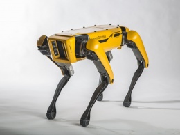 Четвероногие роботы Boston Dynamics появились в продаже