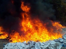 Под Днепром возле Приорельского заказника горел очерет: подробности пожара