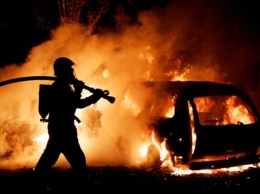 В Крыму за неделю потушили 167 пожаров