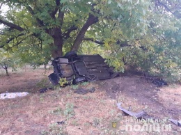 Компания из восьми человек попала в ДТП в Мироновке, погиб пассажир, ехавший в багажнике