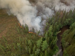 В РФ заявили, что потушили последний лесной пожар