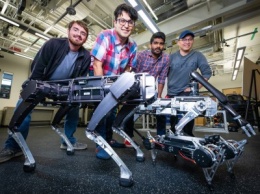 Инженеры сделали поведение роботов-животных более реалистичным