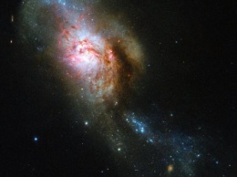 "Хаббл" сделал снимок космической Медузы