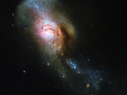 Телескоп Hubble снял "Медузу" в космосе