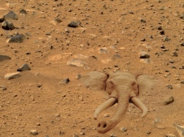На Марсе нашли череп слона