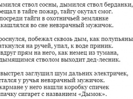 "С дымящимся стволом выходит дед-лесник". Лавров написал криминальный стих о пожарах в тайге