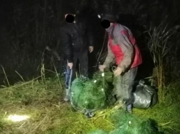 На Днепровско-Бугском лимане нарушители выловили 176 кг рыбы