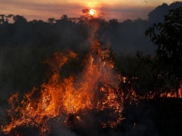 Амазонские пожары вызывают всплеск проблем с дыханием у детей в Бразилии: исследование