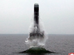 Северная Корея подтвердила запуск баллистической ракеты из подводной лодки в Японском море