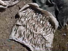 Криворожанин выловил 8 кило рыбы и нанес водным биоресурсам почти 7000 гривен ущерба