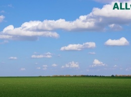 В Украине засеяли более половины площадей озимыми зерновыми