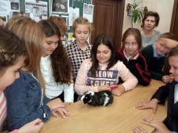 В одну из школ Николаева дети пришли на уроки с кошками и морскими свинками (ФОТО)