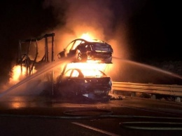 Автовоз с новыми Теслами загадочно сгорел на шоссе (ФОТО)