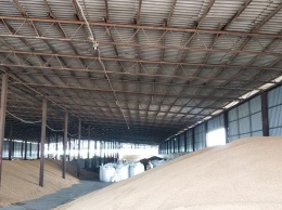 Новый завод покроет три четверти потребности крымских аграриев в семенном материале