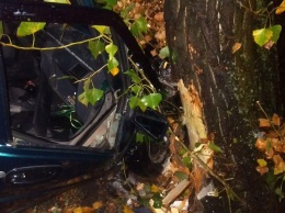 В Кременчуге автомобиль в дерево (фото)