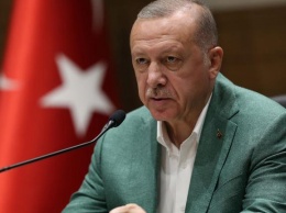 "Мы придем ночью": Эрдоган рассказал, как турецкие военные принесут мир в Сирию