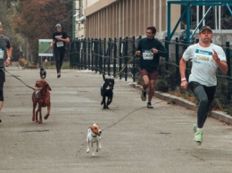 Wizz Air Kyiv City Marathon на ВДНГ открыли собаки и дети: как это было