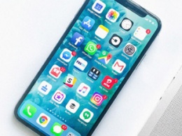 Судья в США: вырез в iPhone никого не волнует, проблема преувеличена