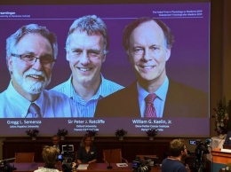 Нобелевскую премию по медицине получили ученые из США и Британии