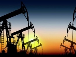 Новак спрогнозировал падение нефтедобычи в России
