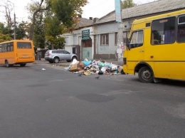 В Херсон инспекторов по благоустройству заинтересовала стихийная свалка на улице Маяковского