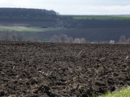 Три преимущества и пять рисков введения рынка земли в Украине