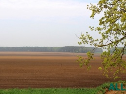 В Украине засеяли 65% площадей озимыми зерновыми