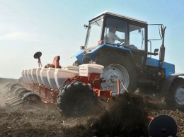 Группа компаний "Укрлендфарминг" закончила посев озимой пшеницы