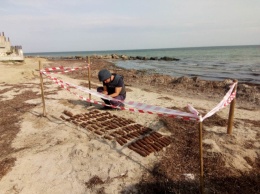 Азовское море могло убить тысячи: в Геническе обнаружили страшную находку