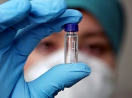 Вирус Эбола мог появиться в Швеции