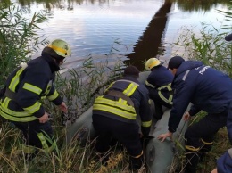 Тело девятилетней девочки нашли в реке на Днепропетровщине