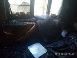 В Кривом Роге пожар уничтожил часть квартиры