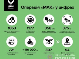 Операция "Мак-2019": В Украине изъяли наркосырье на несколько млрд гривен