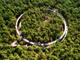 В бельгийском лесу построили велосипедную дорожку на высоте 10 метров. Фото, видео