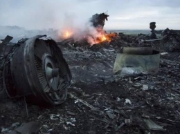 Катастрофа MH17: в Раде отреагировали на желание Нидерландов изучить роль Украины