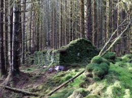 Раскрыта тайна загадочного сооружения в лесах Шотландии