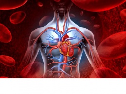 Какие заболевания сердца выявили у ставропольцев?