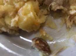 В столичной школе №332 поваров ООО "Понтем.Уа" снова подозревают в добавлении помоев в еду детям (фото)