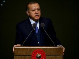 Эрдоган заявил о ликвидации "109 террористов" в Сирии