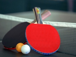 В Никополе в ДЮСШ "Трубник" появились столы для тенниса стоимостью 37 000 гривен