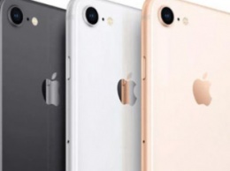Появились новые фото iPhone SE 2