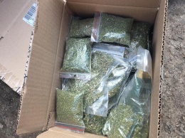 В одном из запорожских домов обнаружено полтора килограмма наркотиков (Фото)