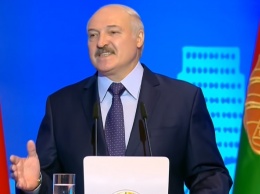 Лукашенко призвал лидеров СНГ поддержать Зеленского перед угрозой свержения