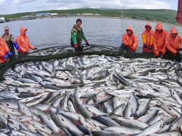 Рыбаки оценили в 150 млрд рублей убытки от договора Шеварнадзе с США