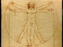 В Италии изготовят из нуги 2-метрового «Витрувианского человека» Леонардо да Винчи