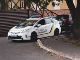 В Полтаве стая псов кромсала женщину, полиция отбивалась слезоточивым газом