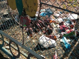 Торгующие на Филибера оставляют после себя горы мусора (фотофакт)