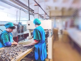 Жизнь «в шоколаде»? Как работают украинцы на польской кондитерской фабрике